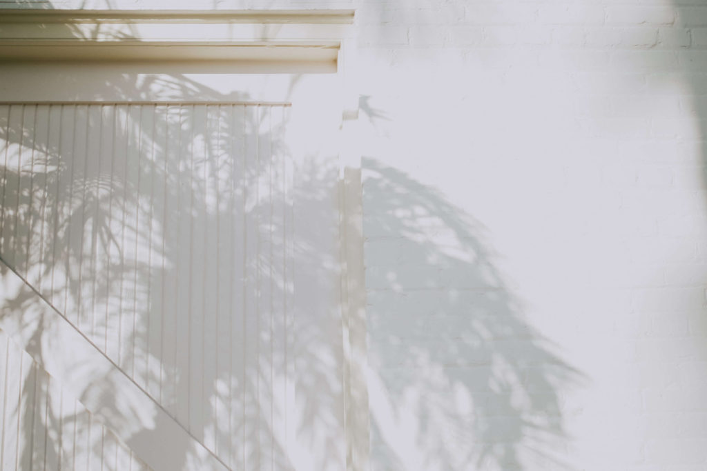 Photo of a palm tree shadow on a white wall